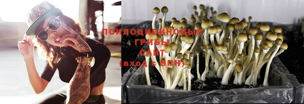 MDMA Premium VHQ Красноперекопск