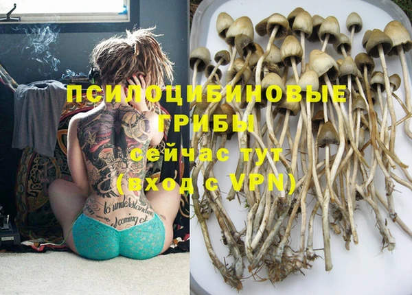 MDMA Premium VHQ Красноперекопск