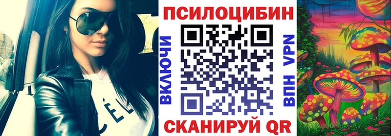 Купить где  Новоульяновск  Псилоцибиновые грибы GOLDEN TEACHER 